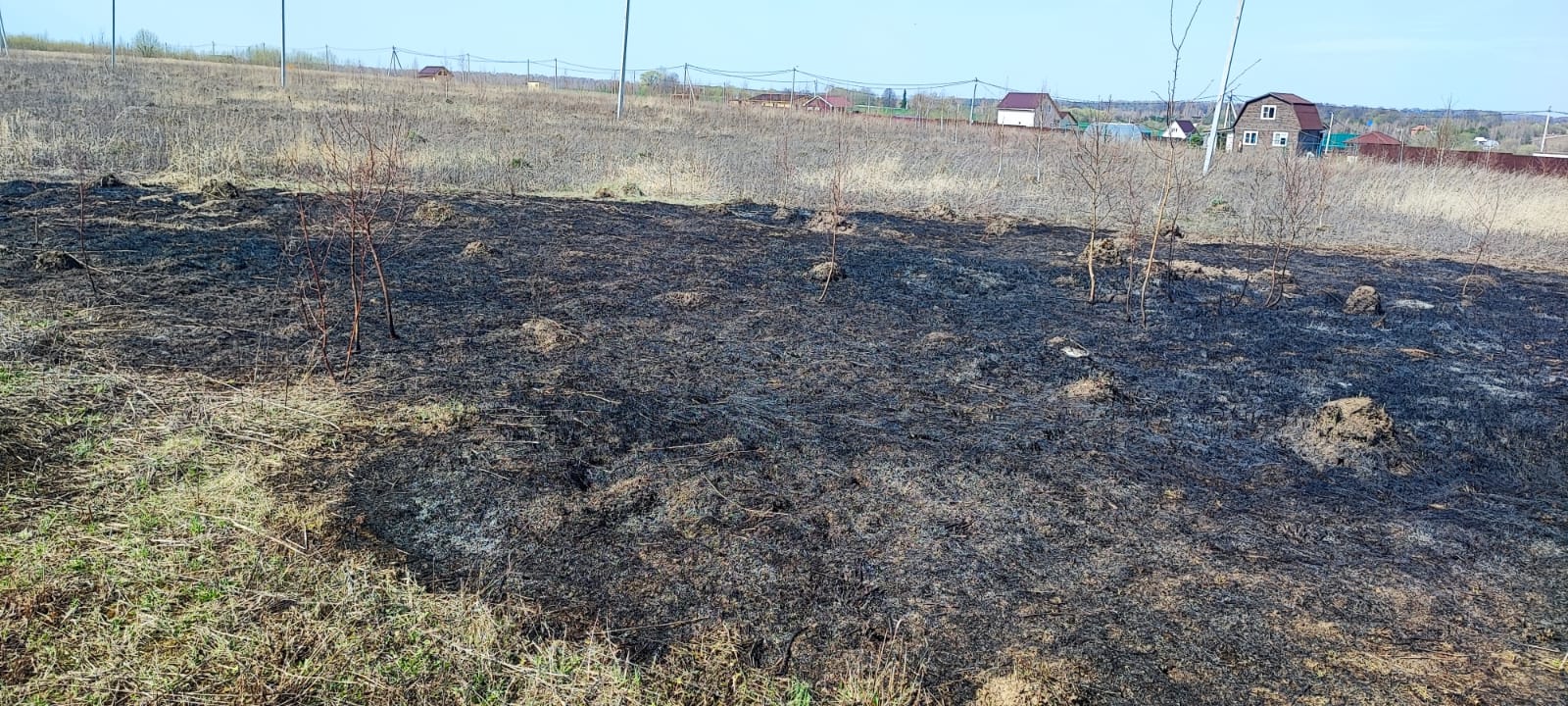 ВО ИЗБЕЖАНИЕ ПОЖАРА ОКОСИТЬ СВОЙ УЧАСТОК